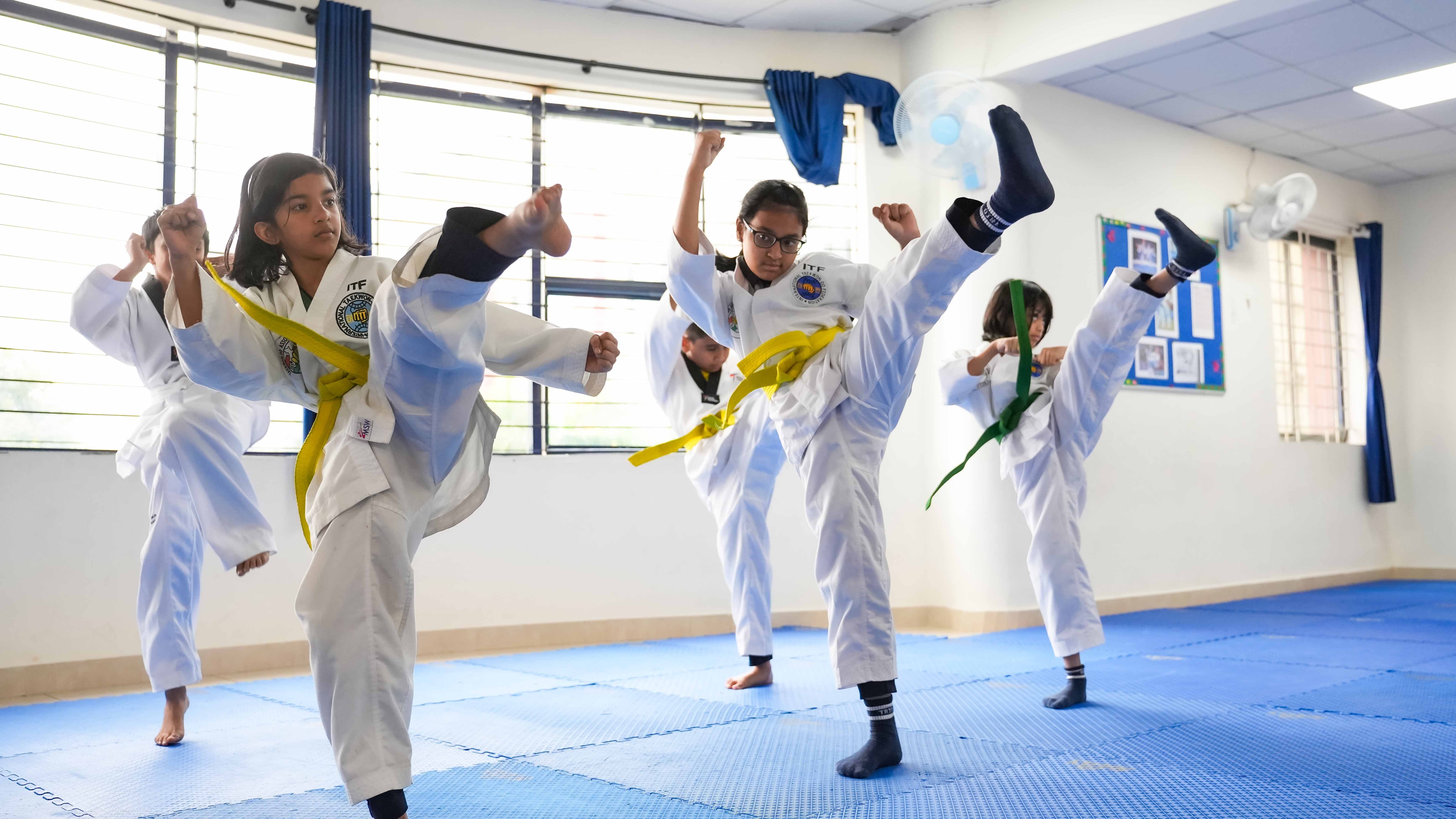 Taekwondo Program